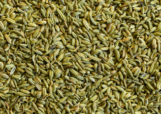 Fennel Seeds